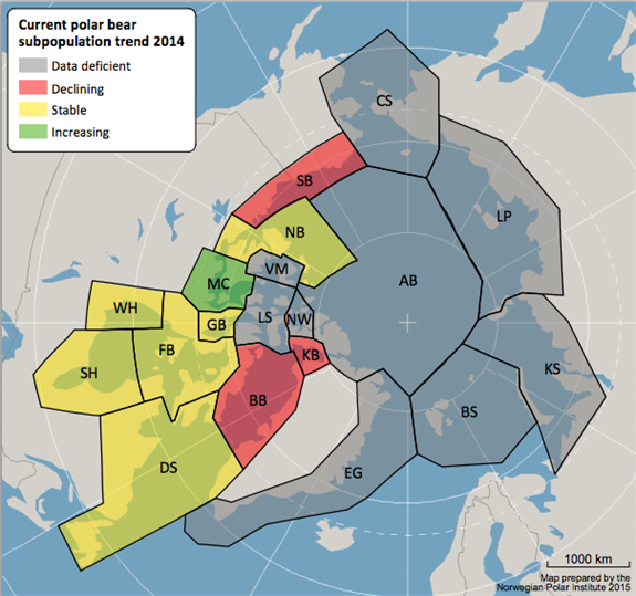 Polar bear subpopulations across the Arctic