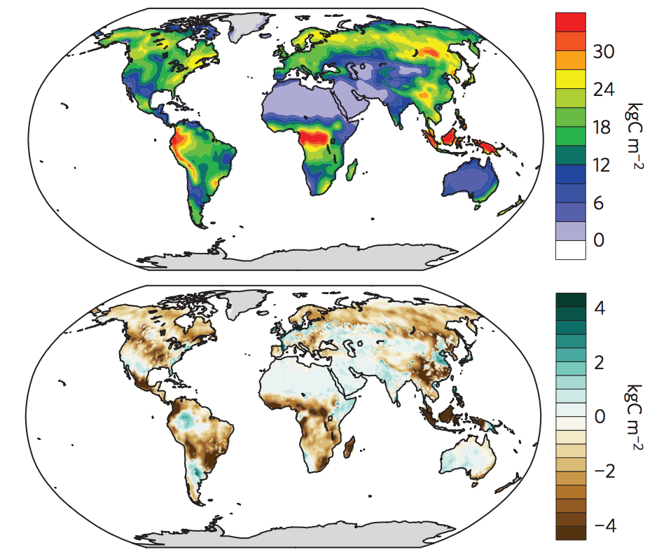 World S Plants And Soils To Switch From Carbon Sink To