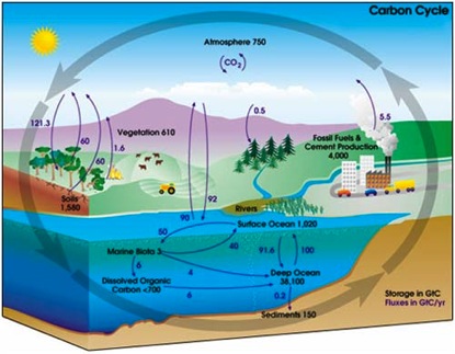 NASA Carbon Cycle