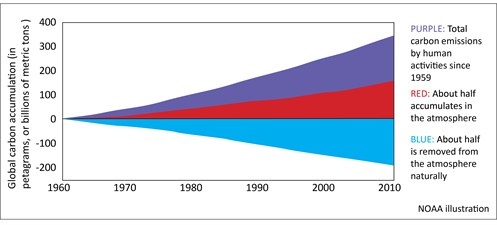 Carbon sink graph NOAA