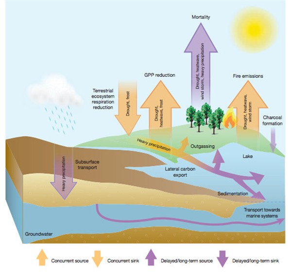 Carbon _cycle