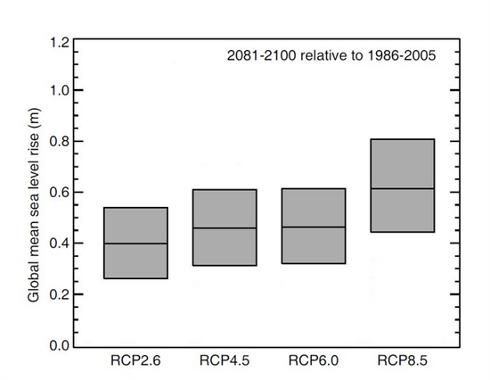 Sea Level Rise RCPs