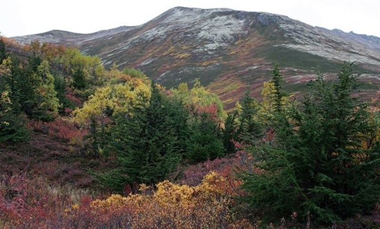 Biosphere _Eagle River Valley