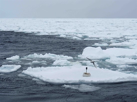 Buoy _on _ice