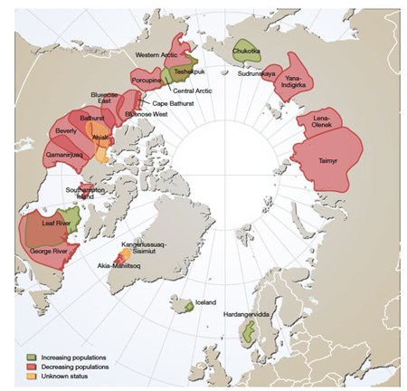 Reindeer _map _ABT2010