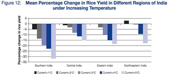 ADB India Rice Yields