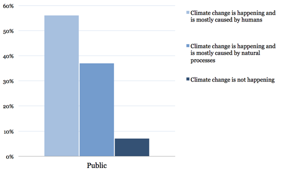 Polling 2b