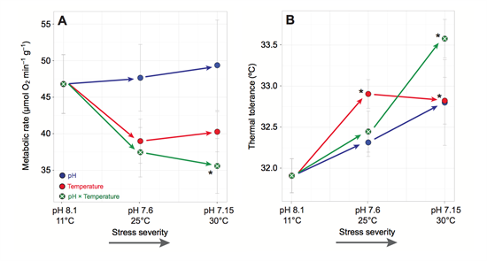 The effects of increasing acidity and temperature stress severity on the porcelain crab