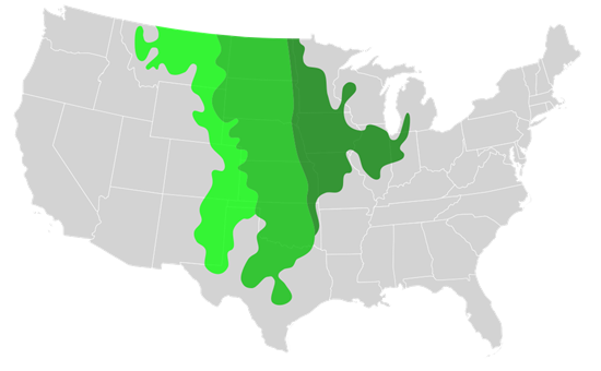 Map of the wheat belt through the US, which also extends into Canada