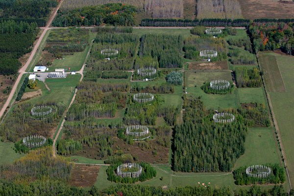 Aerial view of the Aspen FACE facility