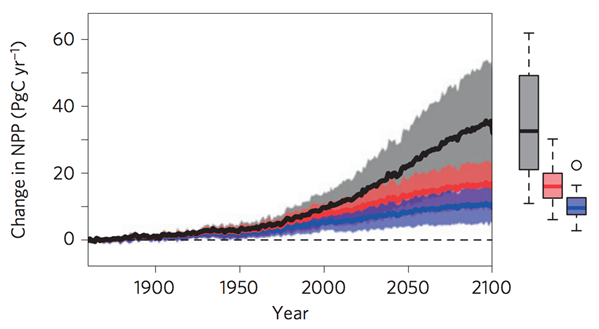 Change in net primary productivity projections from CMIP5 models