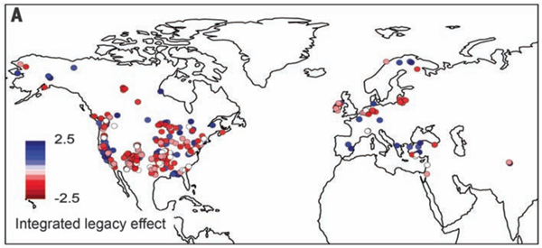 Drought legacy effects on northern hemisphere trees