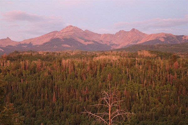 Stressed forests in southwestern US