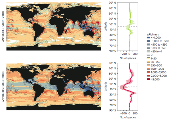 Redistribution of marine biodiversity patterns under RCP4.5 and RCP8.5