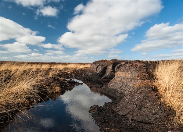 Irish peat bog