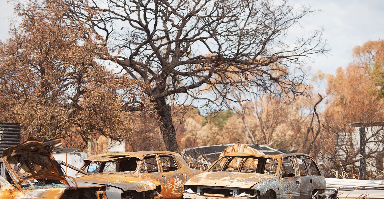 Burnt out motor vehicles and trees, destroyed by bushfire, Dunalley, Tasmania