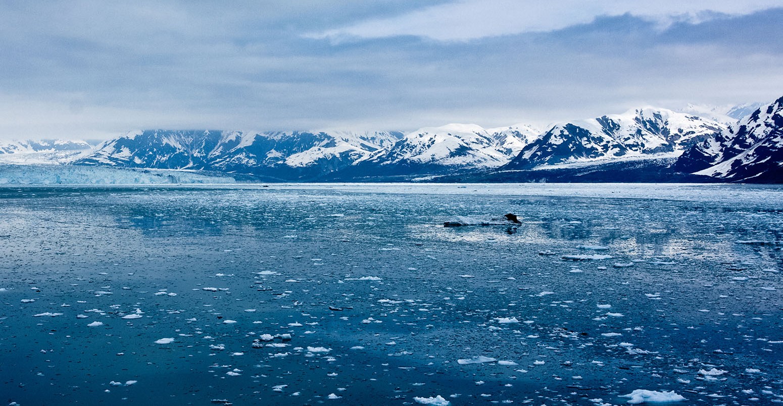 Sea ice off the coast of Alaska, US