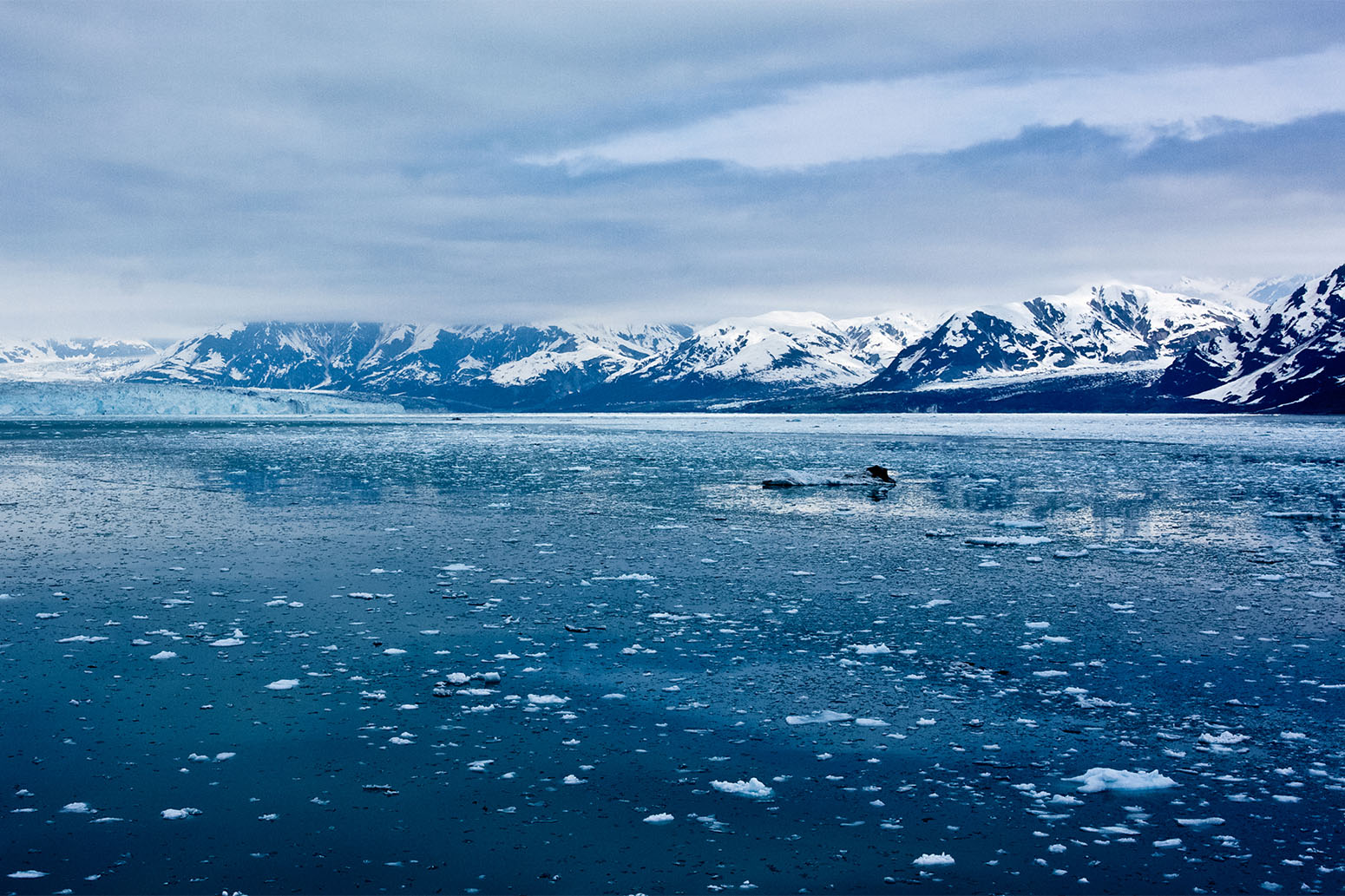 Проект ледовитые океаны. Арктика и Аляска. Арктическое побережье Аляски. Северный Ледовитый океан Аляска. Арктика Северный Ледовитый океан.