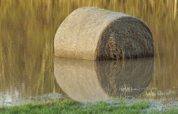 Hay bale in flooded field