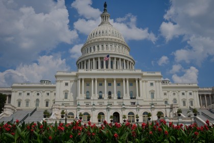 US Capitol Building, Washington DC