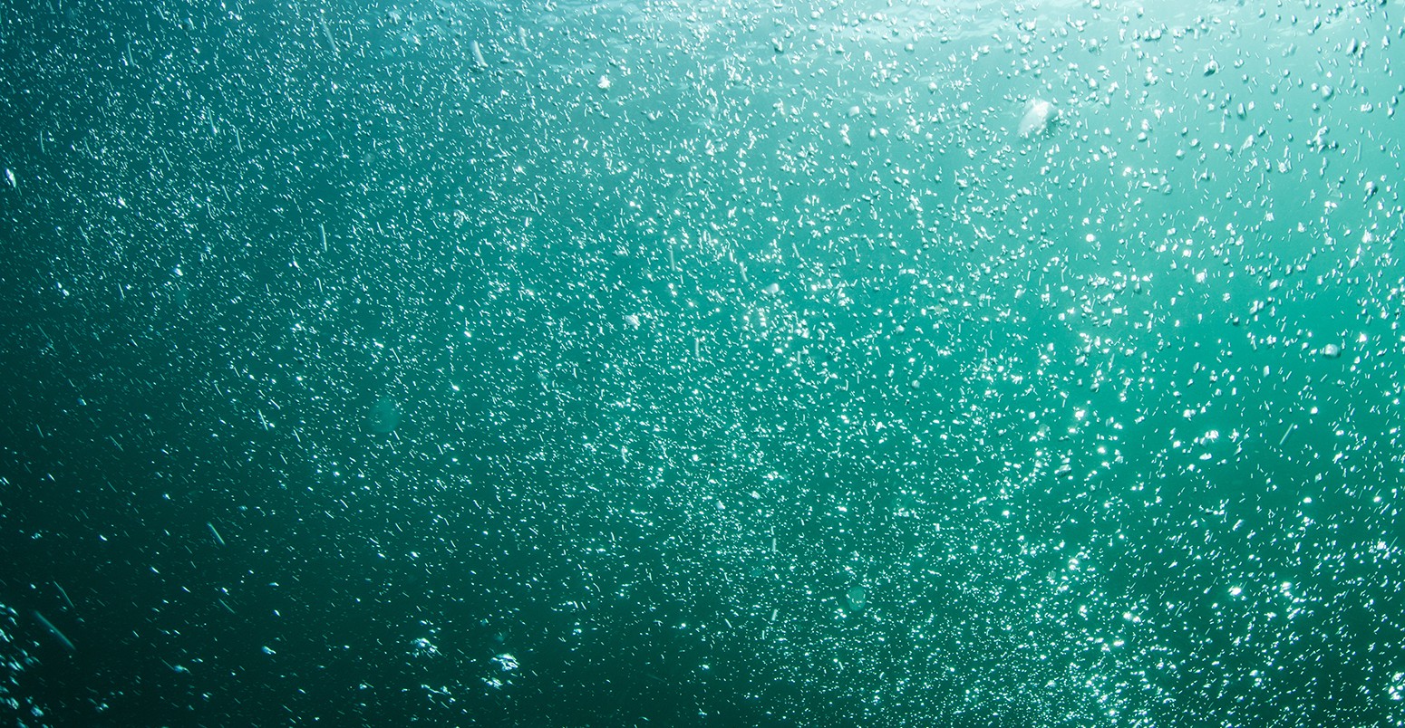 Underwater in the northern Atlantic Ocean.