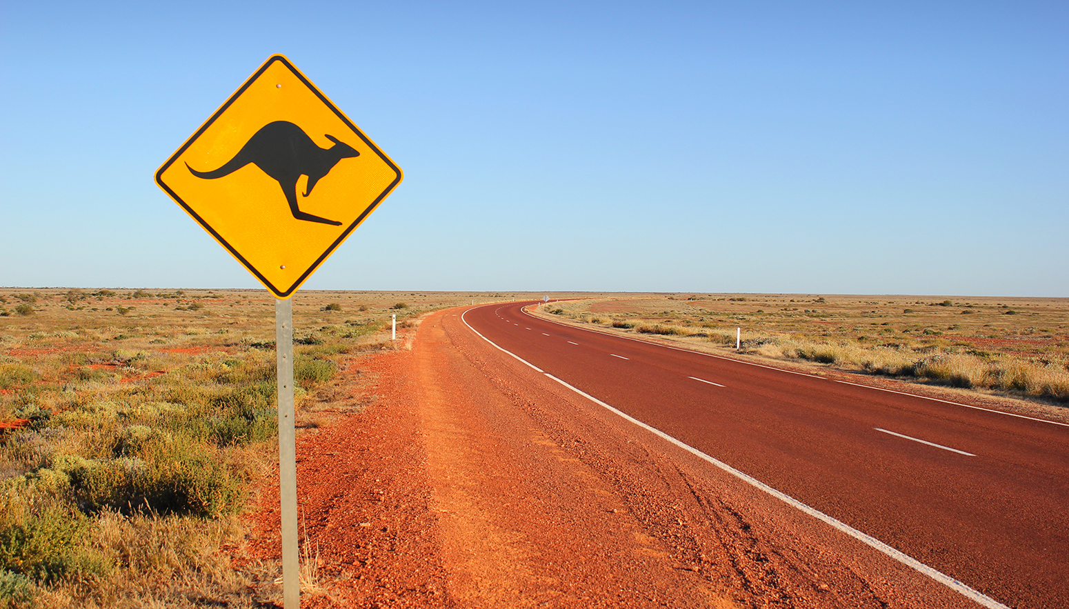 australian-road-kangaroo-sign.jpg