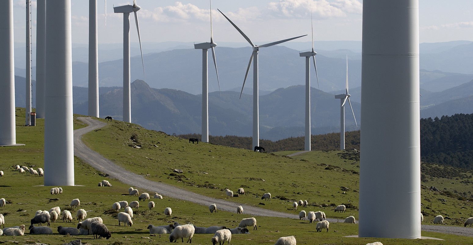 Wind turbines in a sheep field