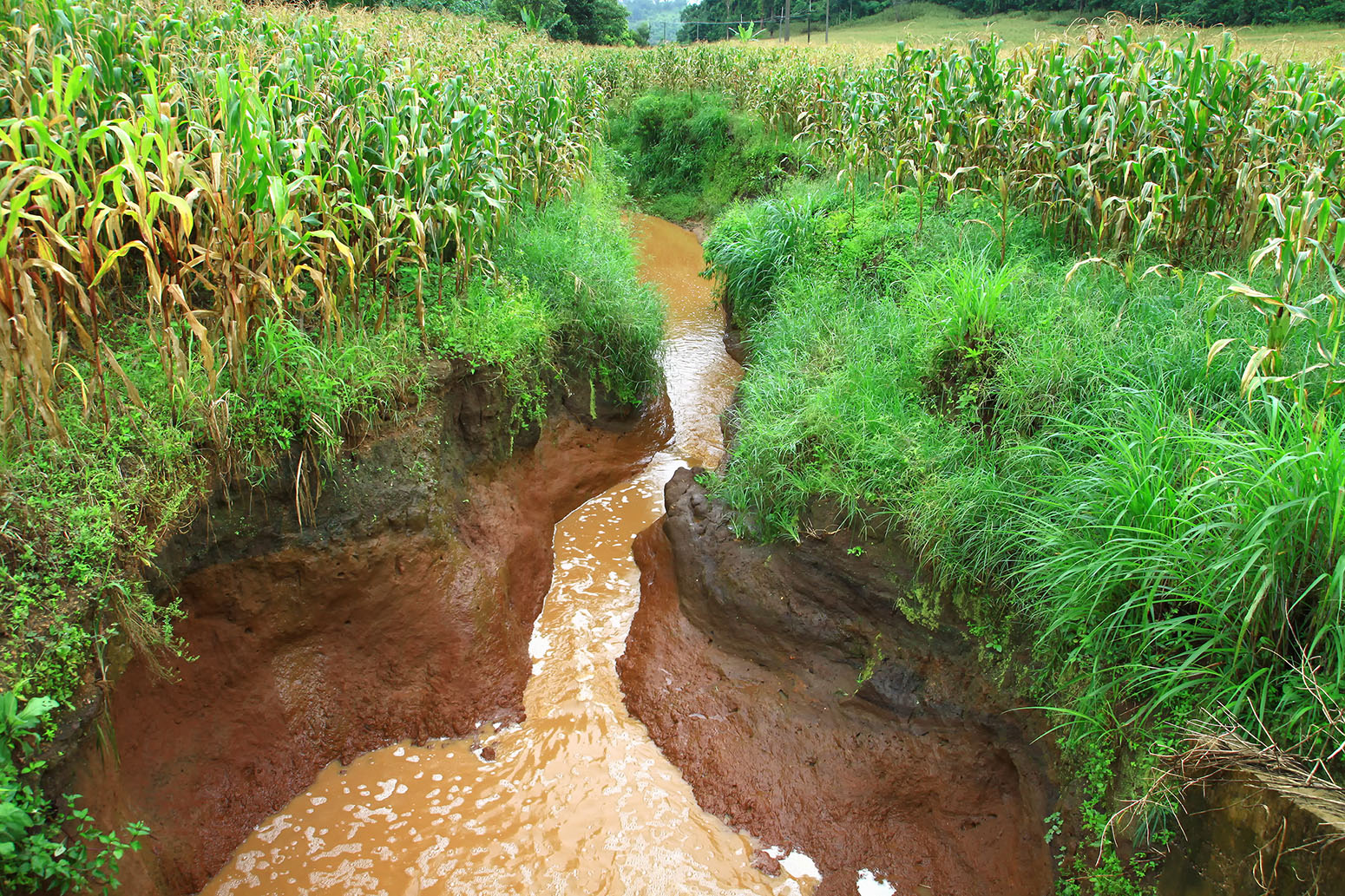 causes of soil erosion