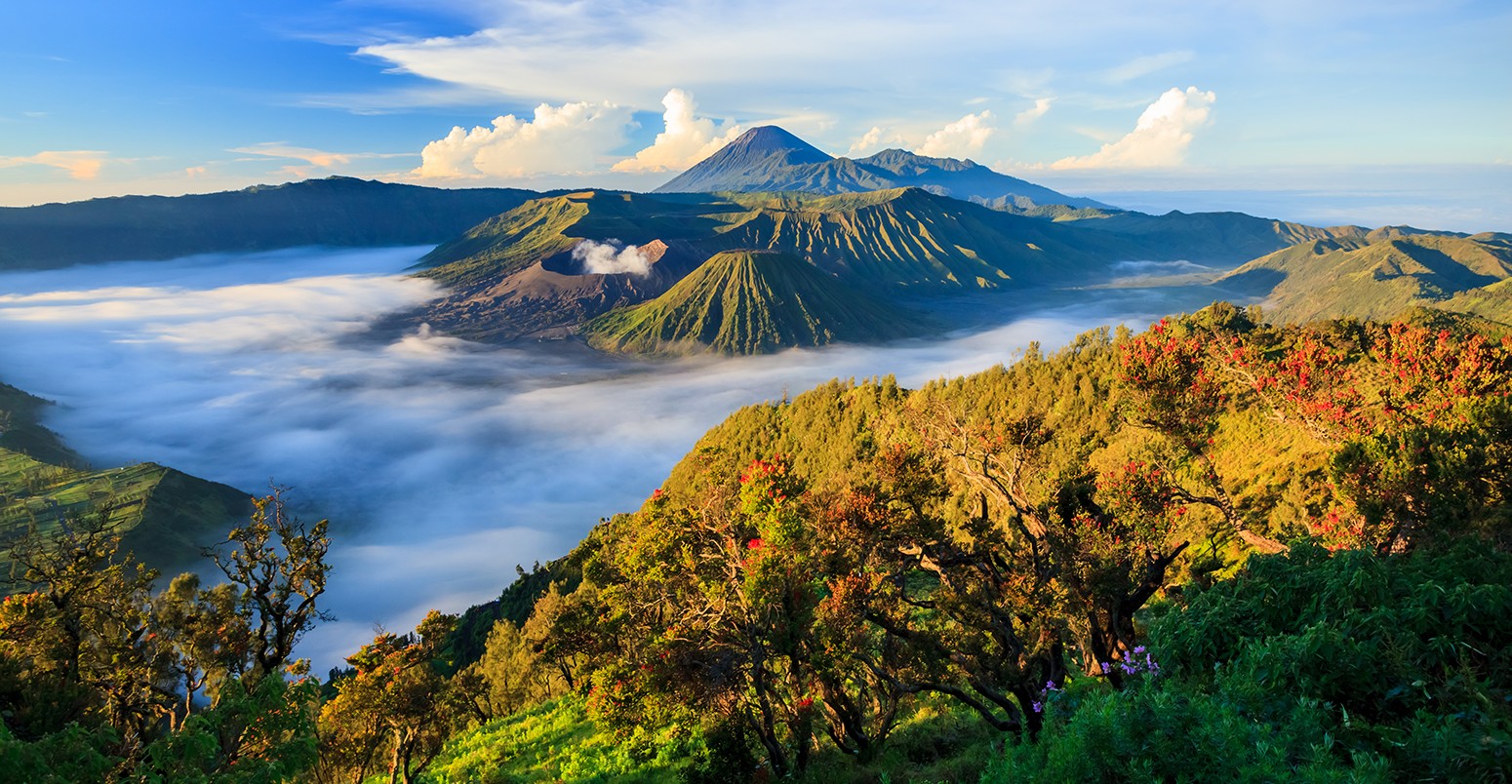 Bromo volcano at sunrise,Tengger Semeru National Park, East Java, Indonesia