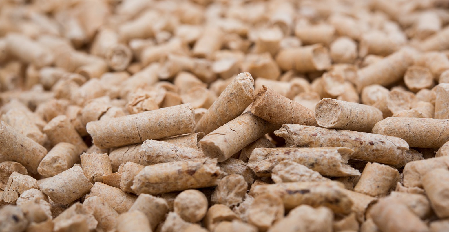 Wood pellets for biomass.