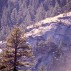 Yosemite national park in 1989