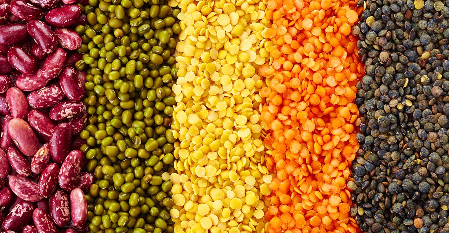 Ranks of red lentils, black lentils, yellow lentils, red beans, green mung beans.