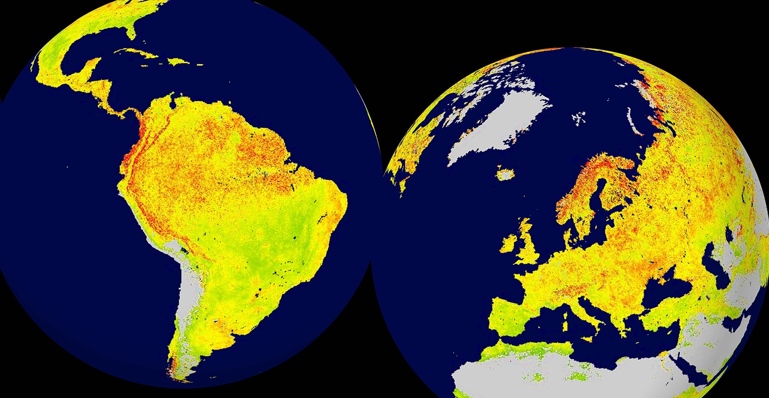 Global snapshot of the Vegetation Sensitivity Index.