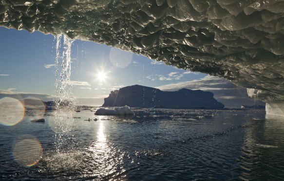 Icebergs in Disko Bay