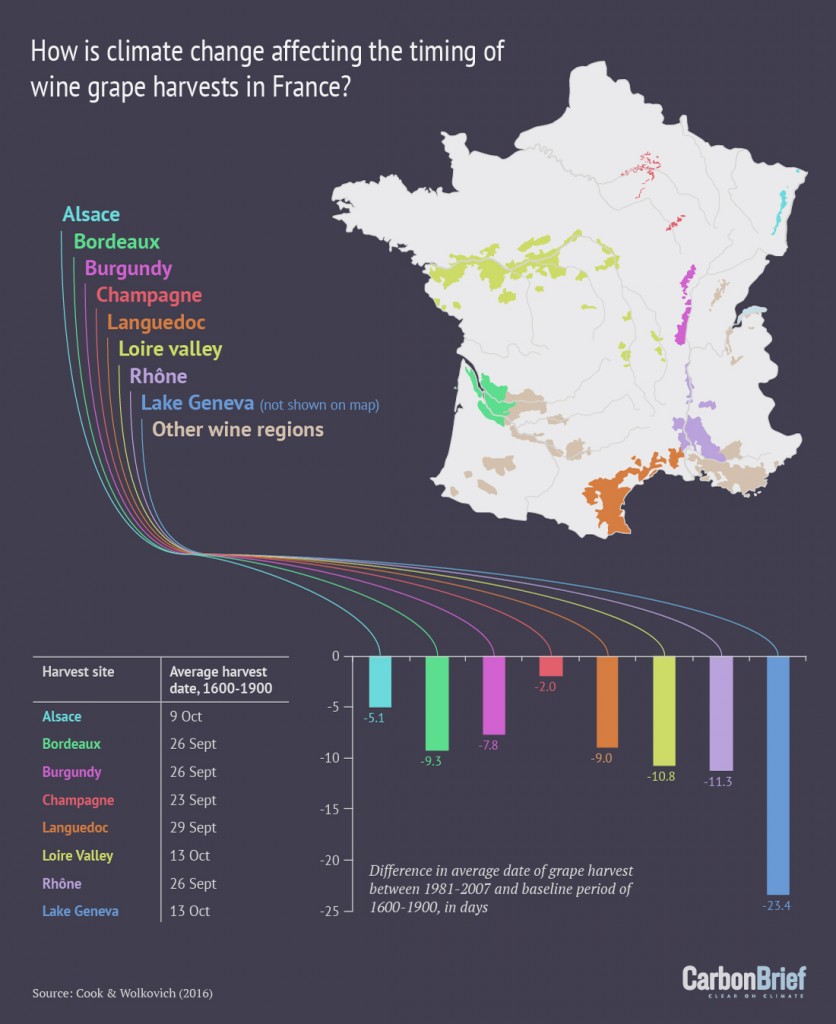 Infographic: How is climate change affecting the timing of wine grape harvests in France?