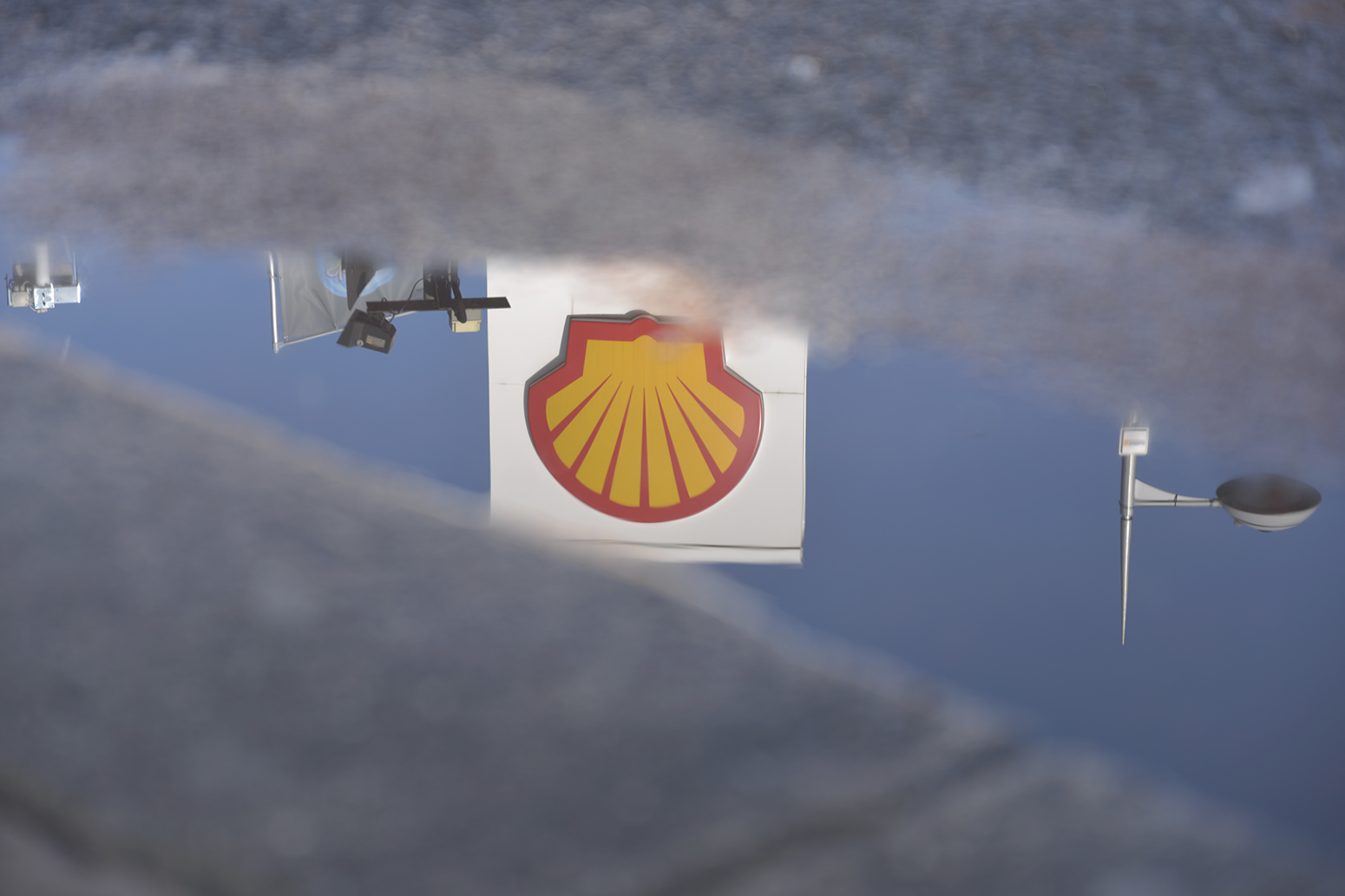 Shell essay writing