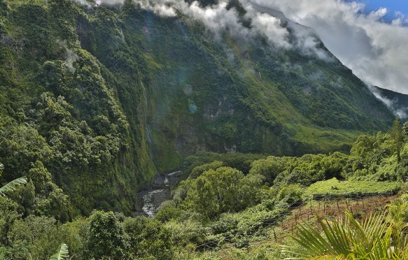 France, Reunion island (French overseas department), Cirque de Salazie, listed as World Heritage by UNESCO, mountainous tropical landscape of lush greenery.