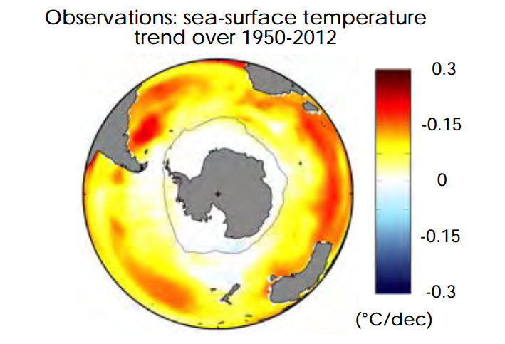 Observed changes in annual sea surface temperatures around Antarctica, from 1950 to 2012, in degrees Celsius per decade. Red and yellow shading shows warming, while white shading shows no change. The grey line around Antarctica indicates the maximum winter extent of sea ice. Source: Armour et al. (2016) Supplementary information.