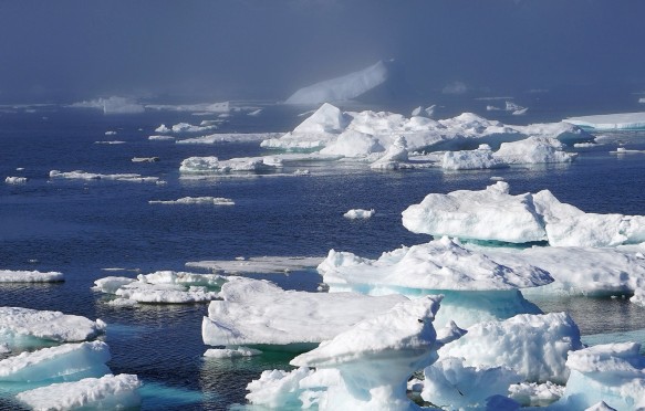 Icebergs in the Arctic