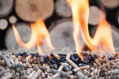 Biomass pellets made from pine and sunflower aflame