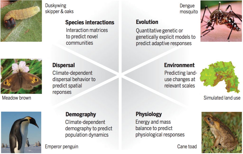 Emerging models are beginning to incorporate six key biological mechanisms that can improve predictions of biological responses to climate change. Models that include biological mechanisms have been used to project (clockwise from top) the evolution of disease-harboring mosquitoes, physiological responses of invasive species, such as cane toads, demographic responses of penguins to future climates, climate-dependent dispersal behaviour in butterflies and mismatched interactions between butterflies and their host plants. Source: Urban et al. (2016) 