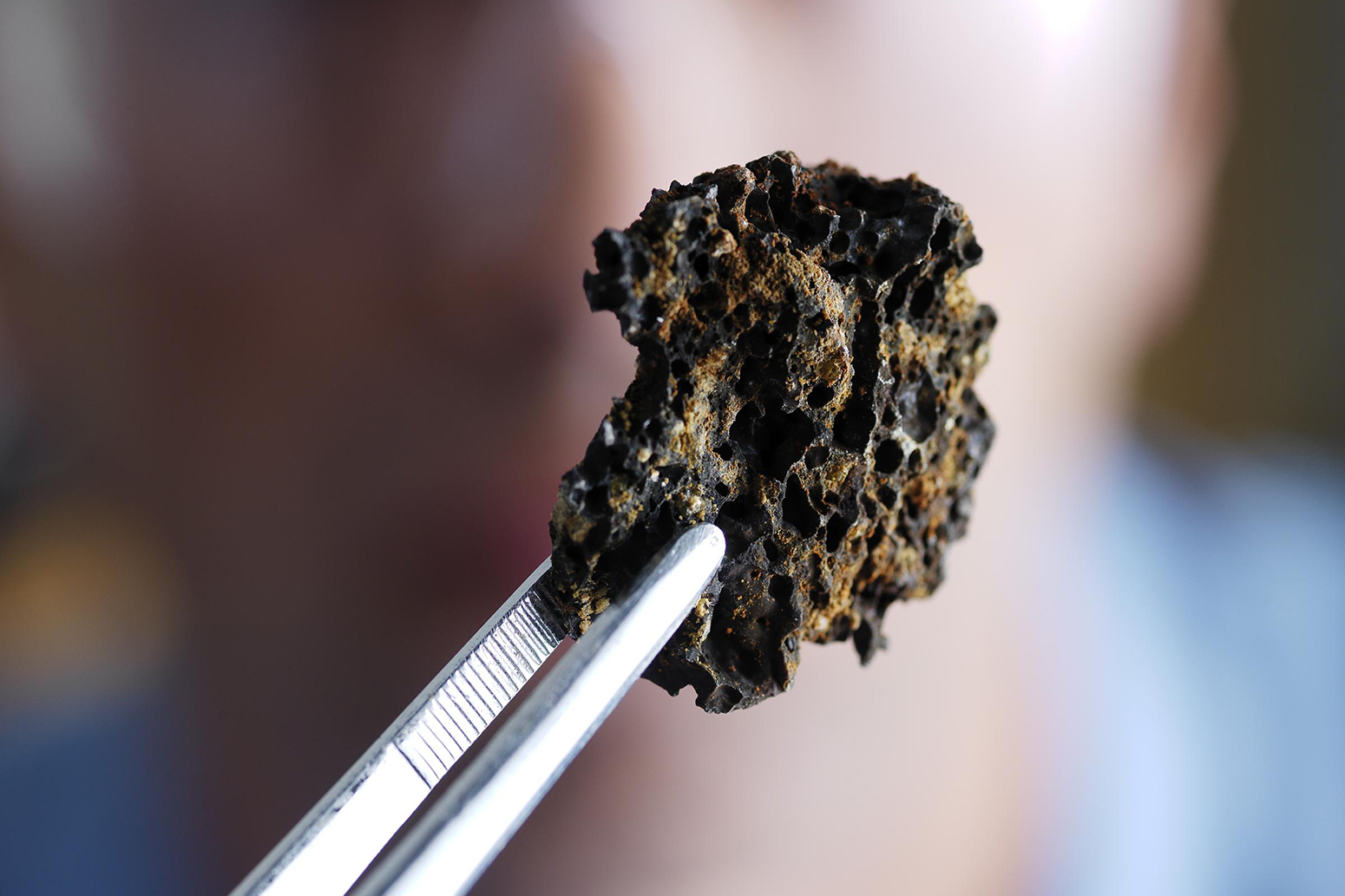 CCC: UK 'needs negative emissions' to comply with Paris climate deal ...