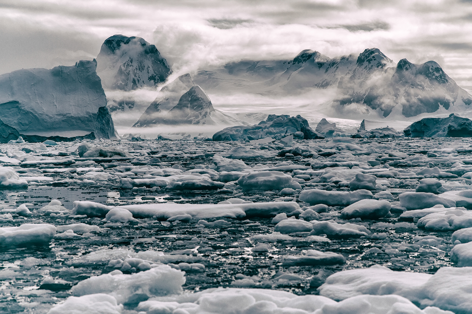 antarctic sea