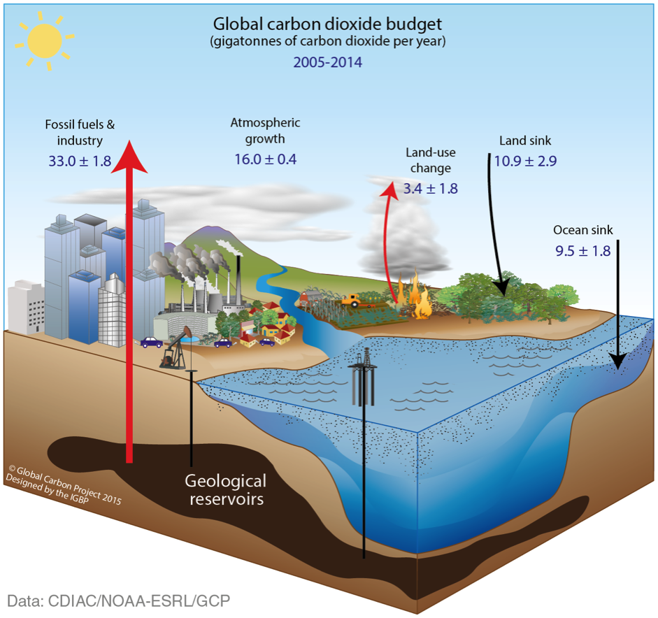 Betts_Carboncycle