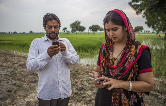 Farmers receive updates on climate smart practices on their phones, as part of an adaptation project in Karnal, India