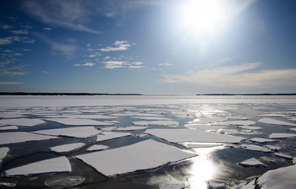 Arctic landscape in the sunlight with packed ice in the sea.