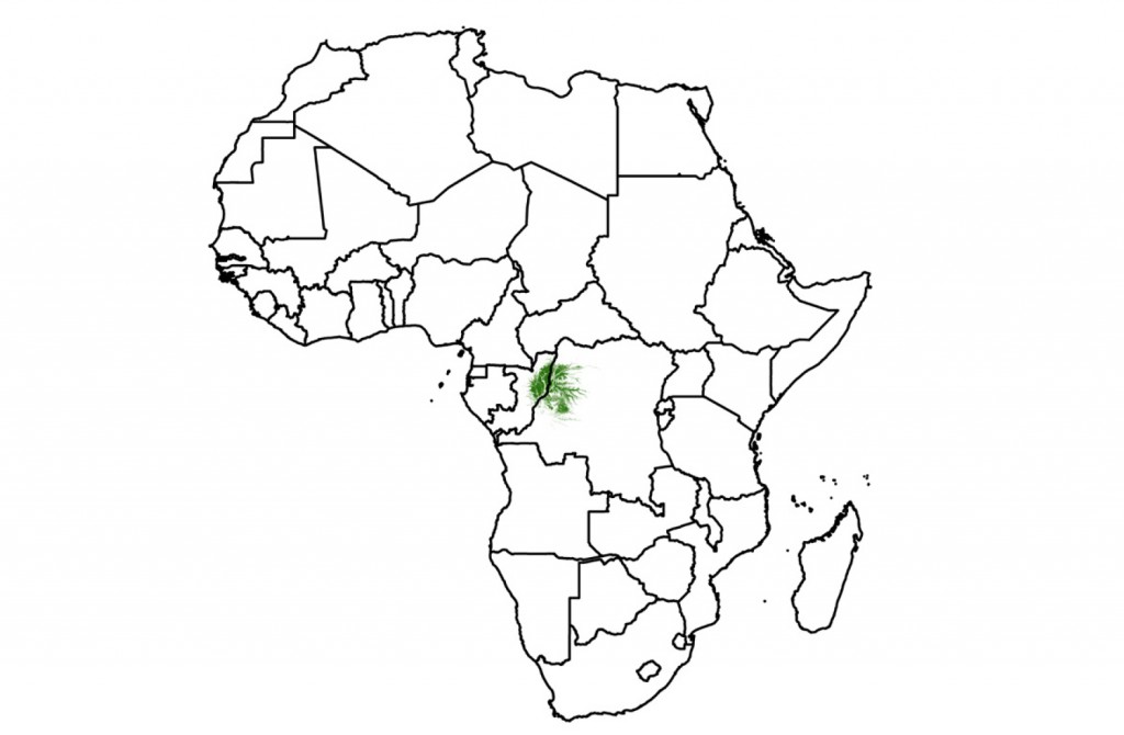 Répartition des zones humides dans la Cuvette Centrale en Afrique