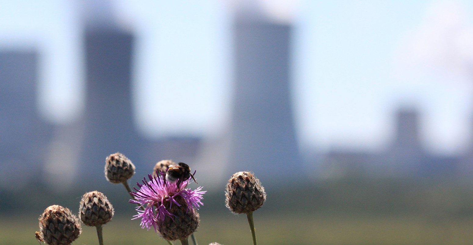 Land recultivation next to Boxberg coal-fired power plant.