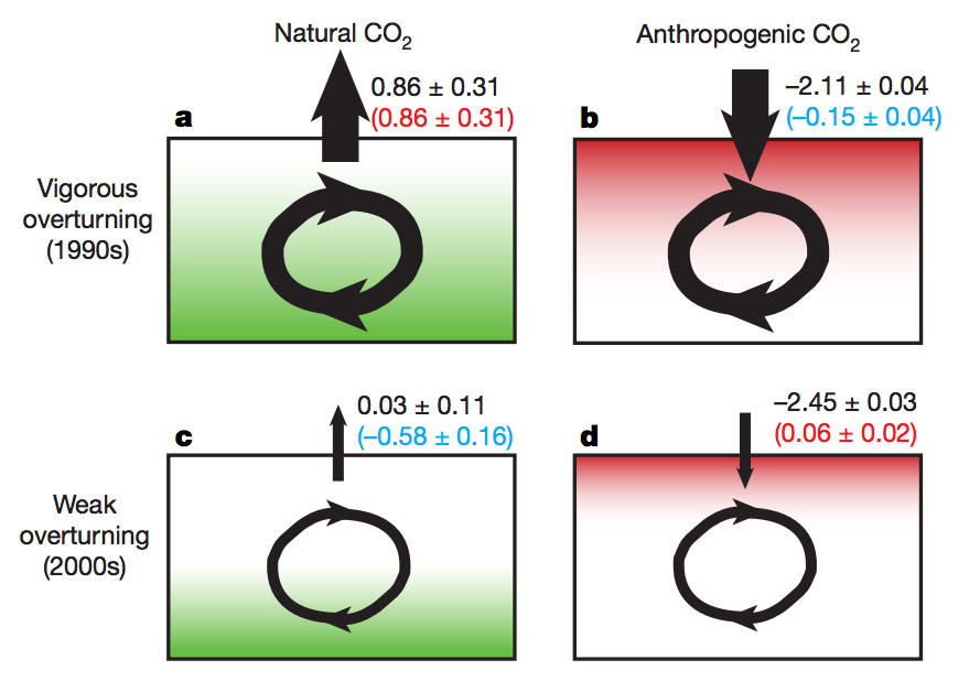 Scientists Solve Ocean Carbon Sink Puzzle Carbon Brief