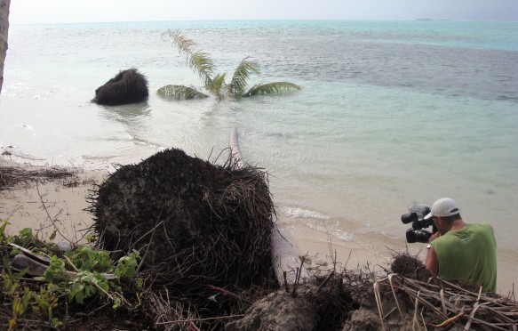 Coastal erosion on the Carteret Islands, Papua New Guinea
